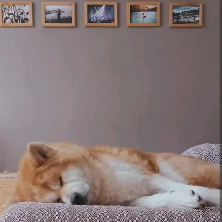 Bobby's Beds Ubytování v soukromí *