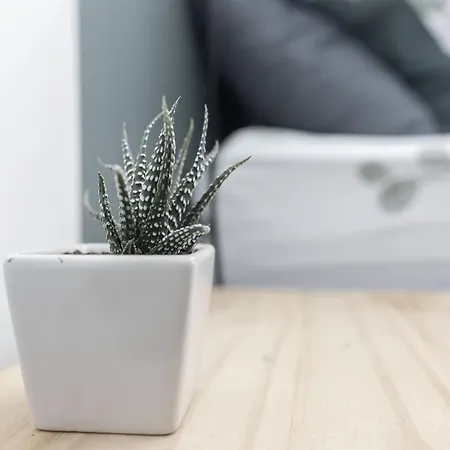 Проживание в семье Bobby's Beds *