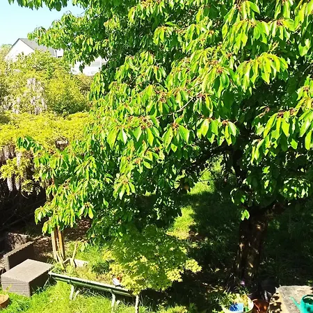 Homestay szállás Bobby's Beds *