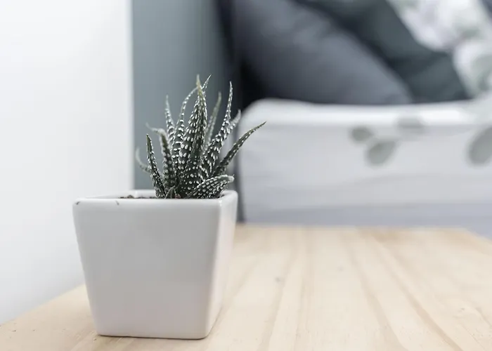 Homestay Bobby's Beds *