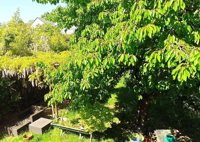 Homestay Bobby's Beds *